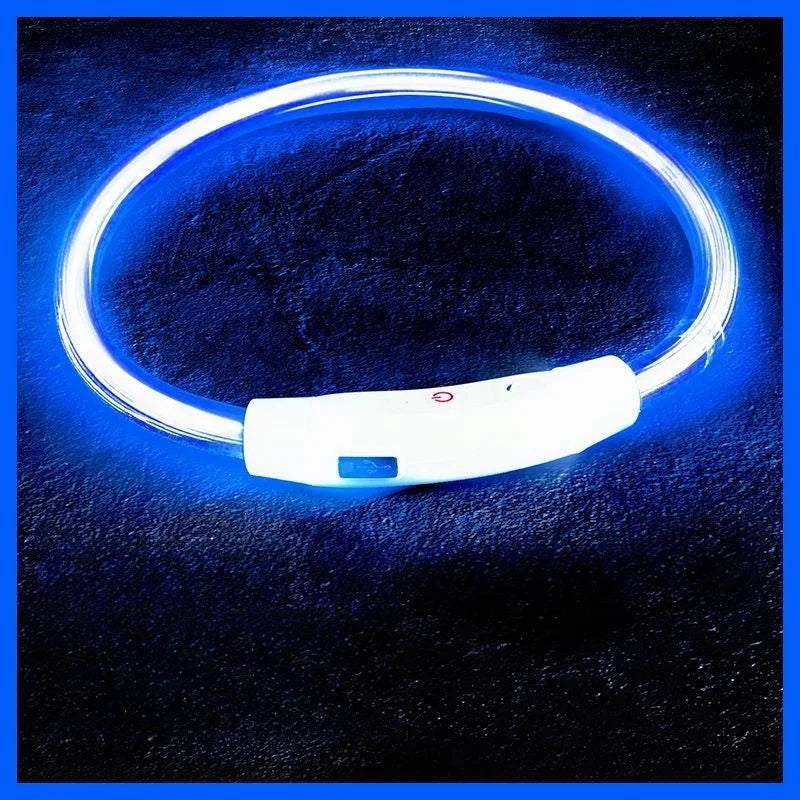 Collier lumineux pour chien - Bleu
