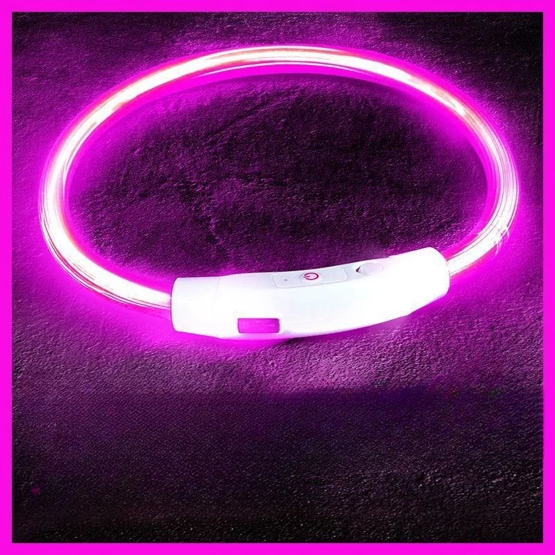 Collier lumineux pour chien - Violet