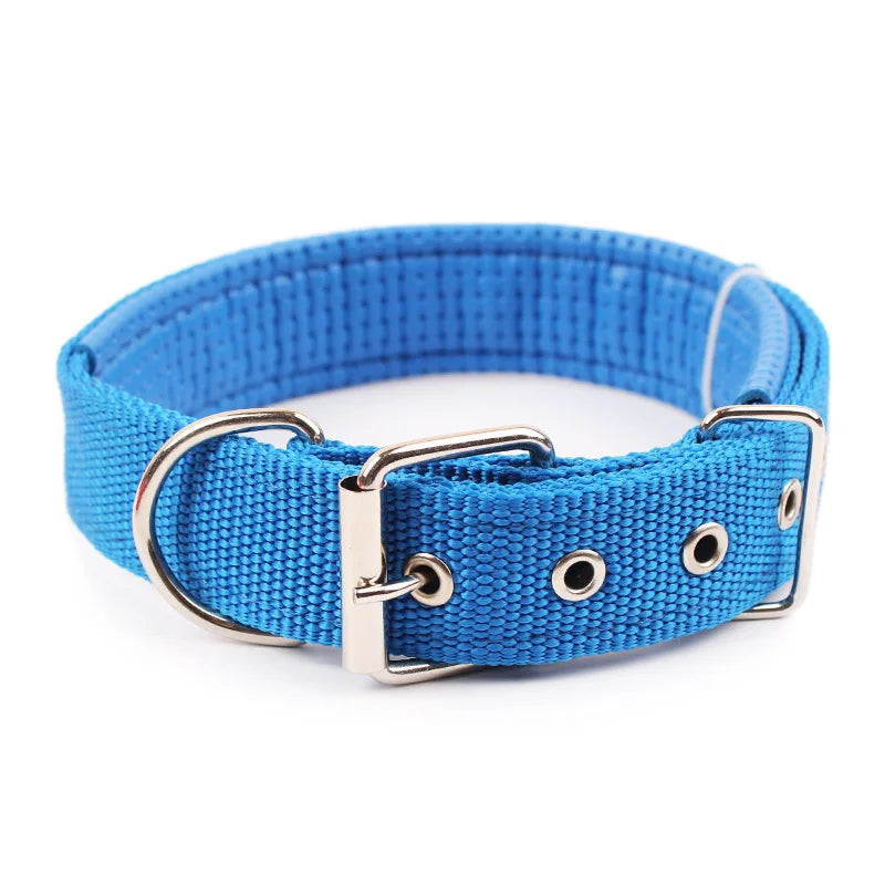 Collier pour chien boucle en métal - Bleu