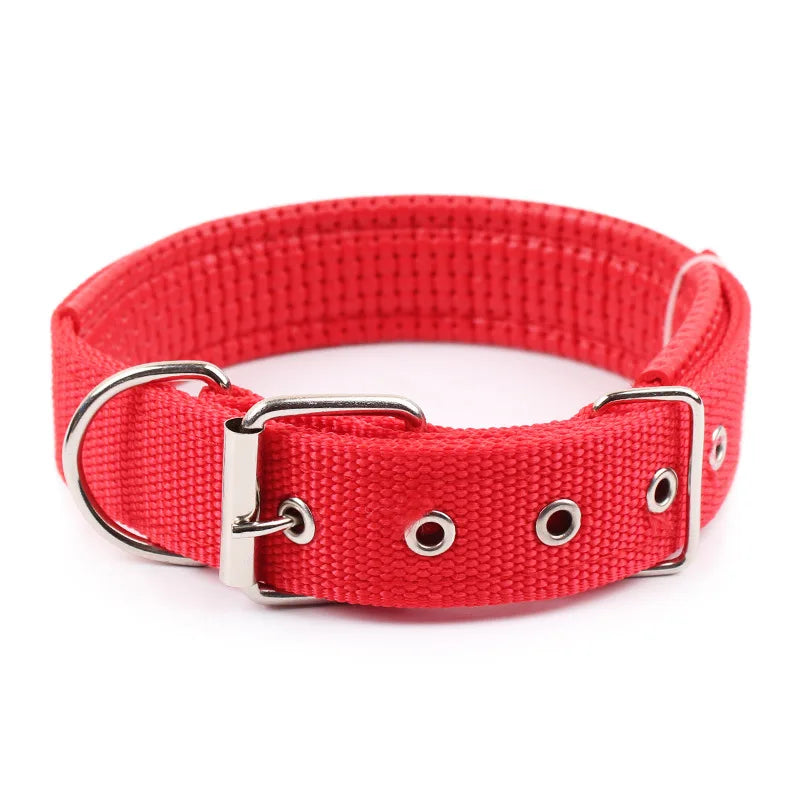 Collier pour chien boucle en métal - Rouge