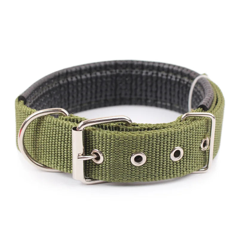 Collier pour chien boucle en métal - Vert