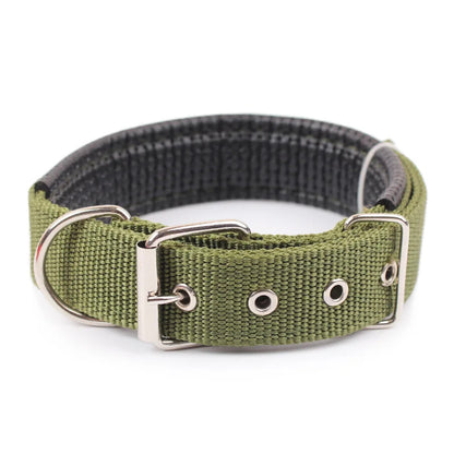 Collier pour chien boucle en métal - Vert