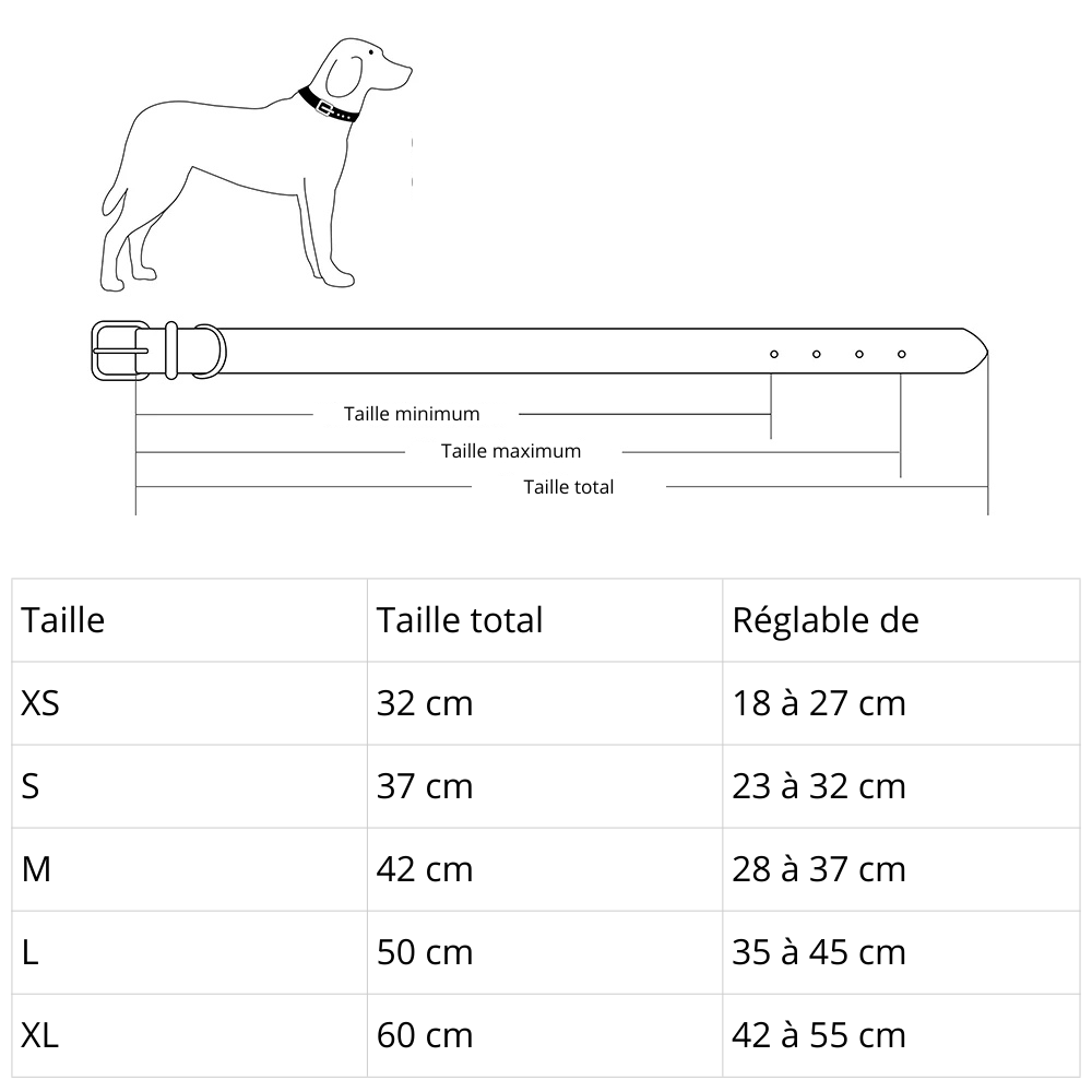 Collier pour chien en cuir personnalisable - Dimension