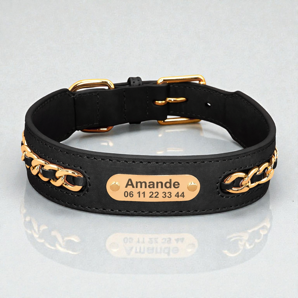 Collier cuir chien personnalisé - Prestige Dog