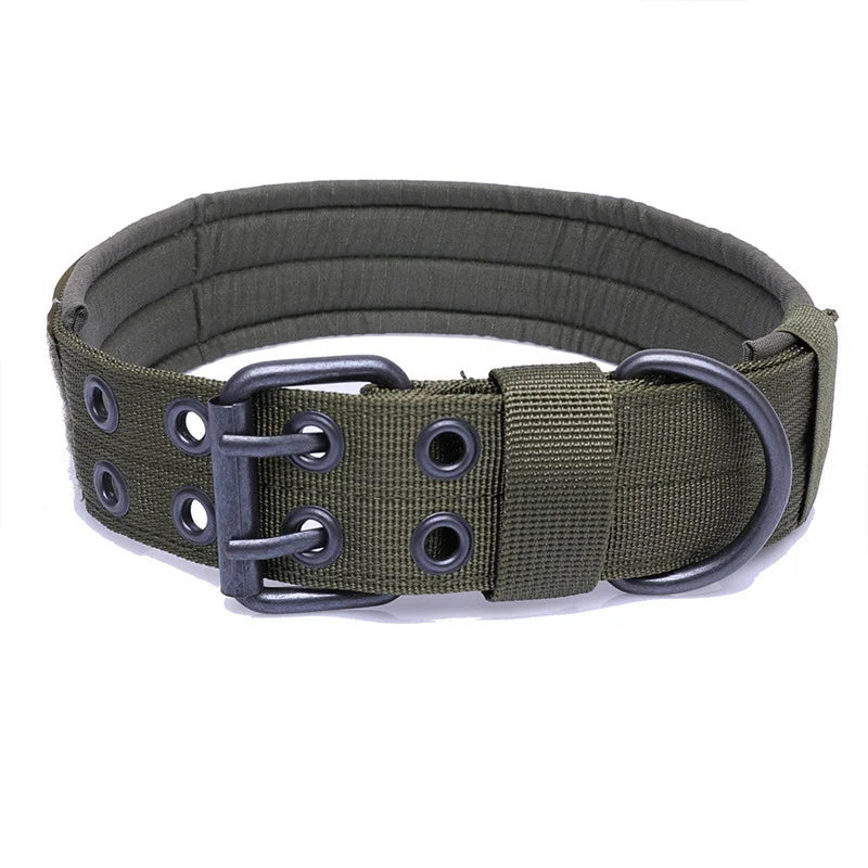 Collier pour chien militaire - Vert
