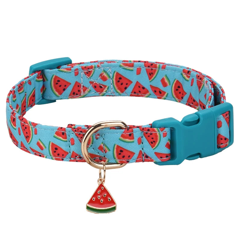 Collier pour Chien | Motif Fruits - Bleu