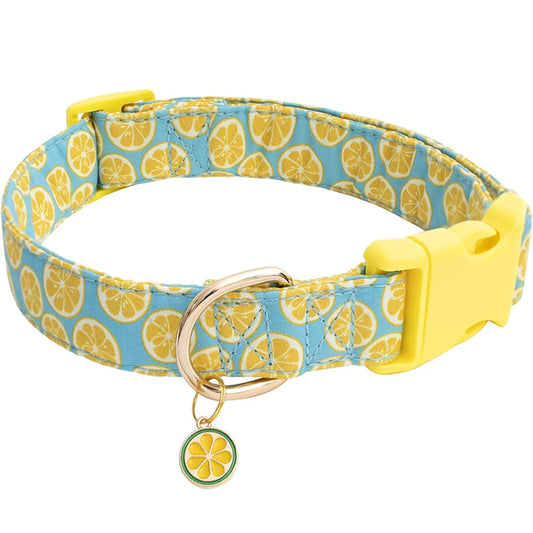 Collier pour Chien | Motif Fruits - Jaune
