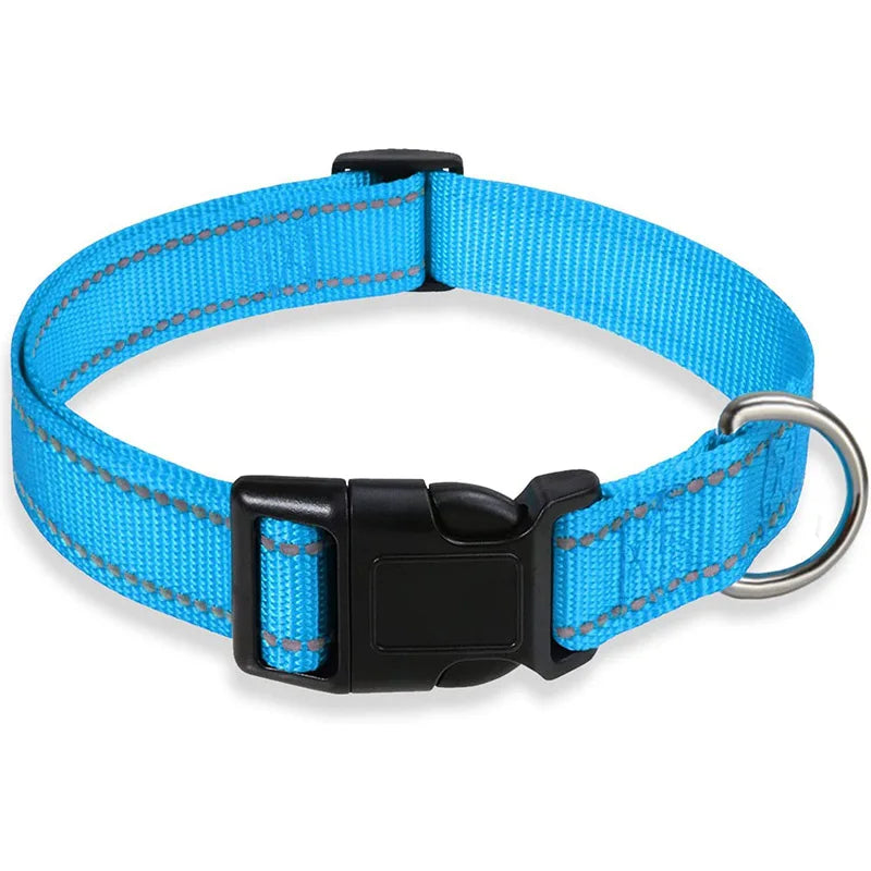 Collier réfléchissant pour chien - Bleu