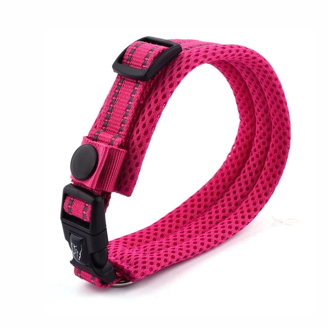 Collier Réfléchissant pour Chien - Fuchsia