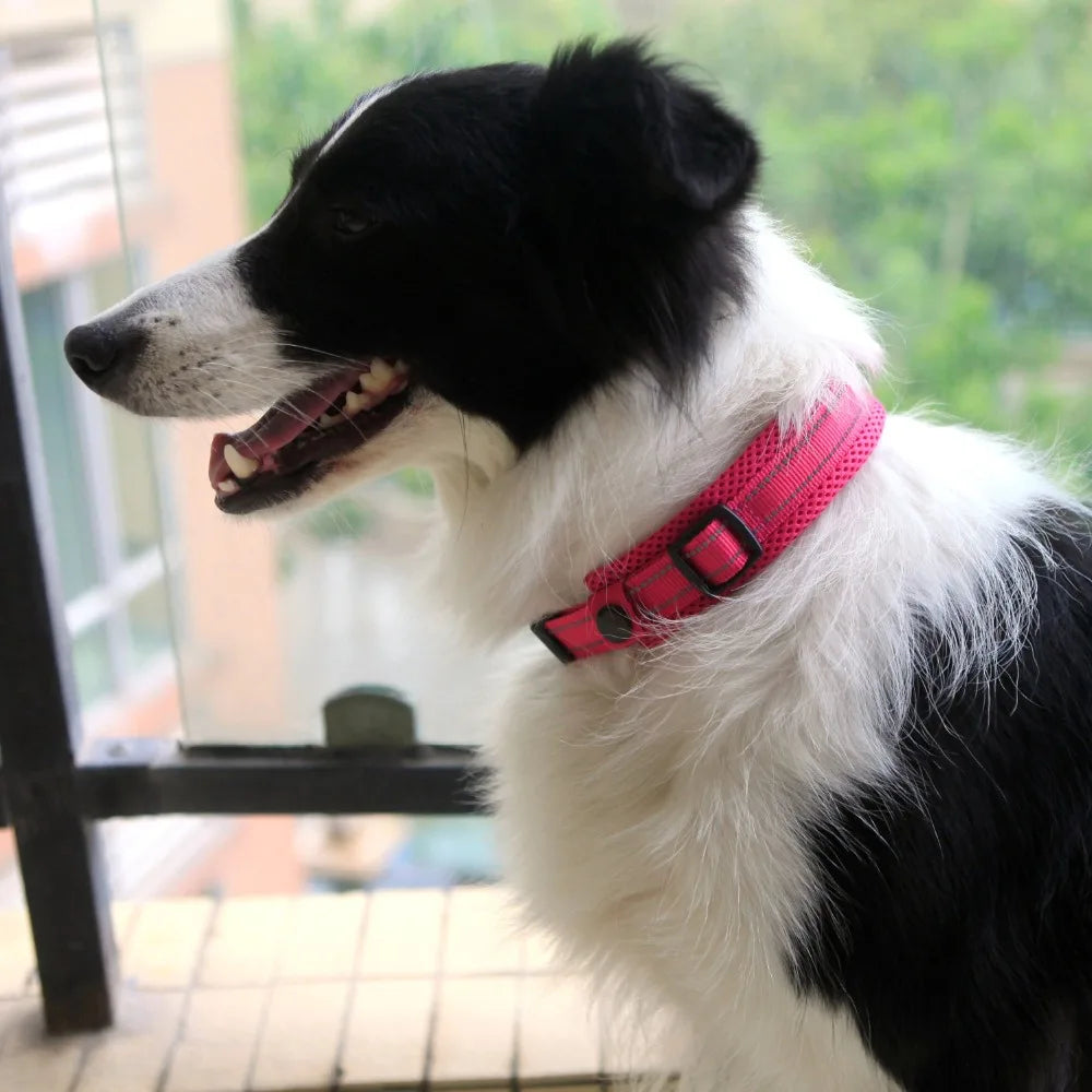 Collier Réfléchissant pour Chien
