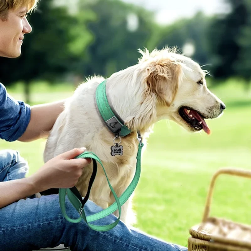 Collier rembourré pour chien