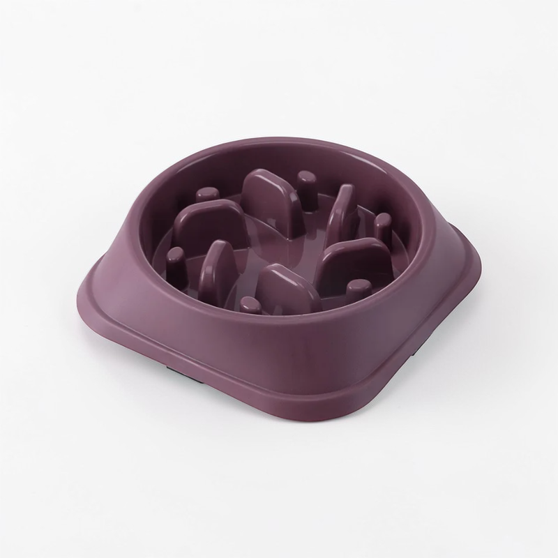 Gamelle anti-Glouton pour chien