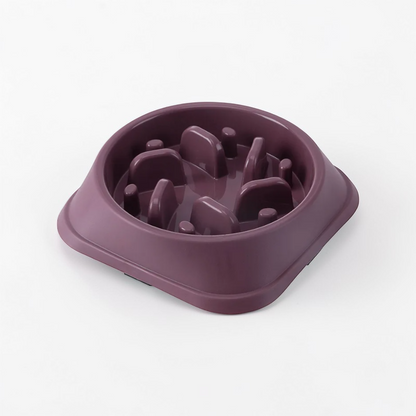 Gamelle anti-Glouton pour chien