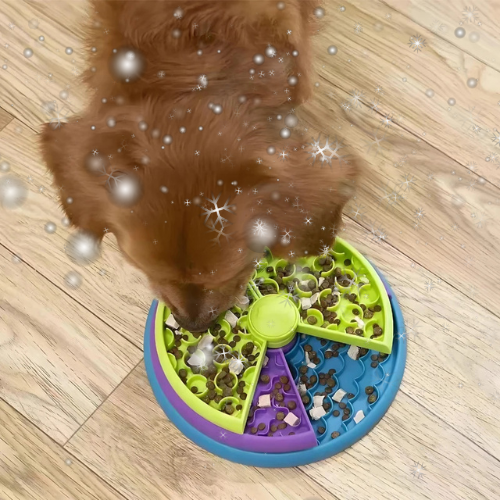 Gamelle Puzzle anti-glouton - SmartBowl