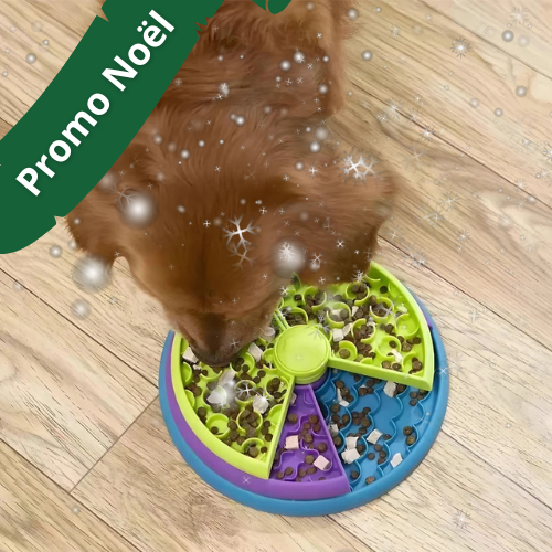 Gamelle Puzzle anti-glouton - SmartBowl