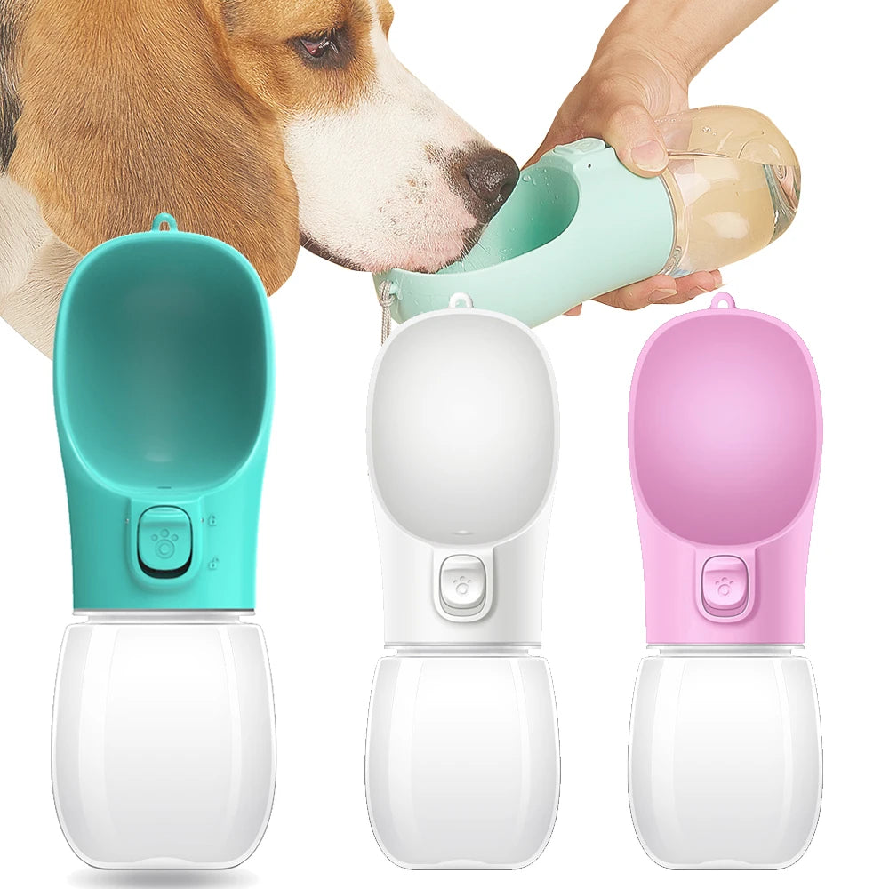 Gourde de voyage pour chien