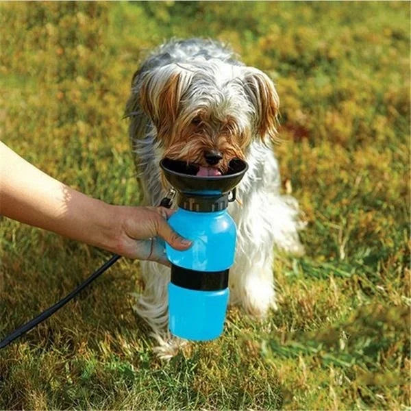 Gourde pour Chiens 500 ml - Photo