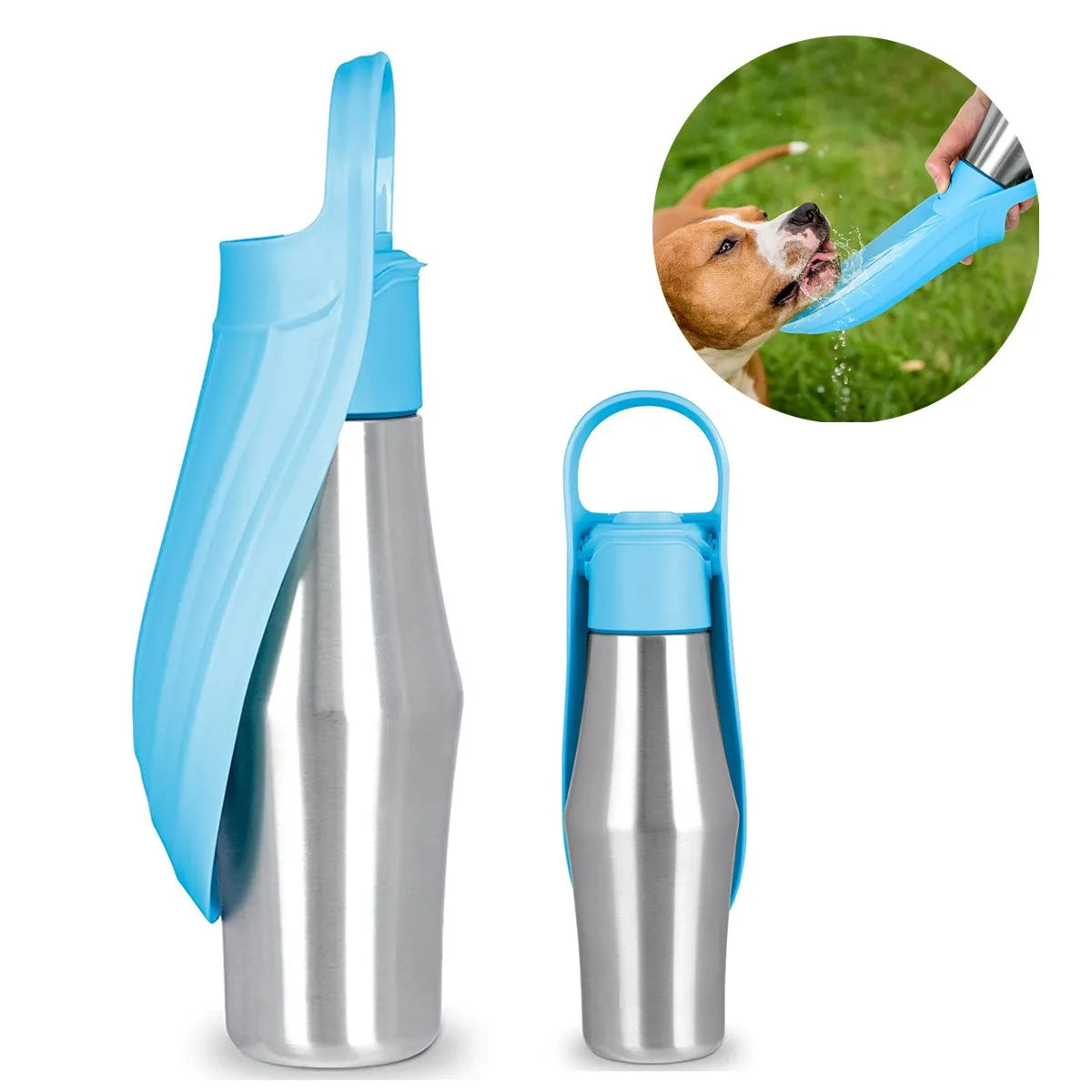 Gourde pour Chiens en Acier Inoxydable