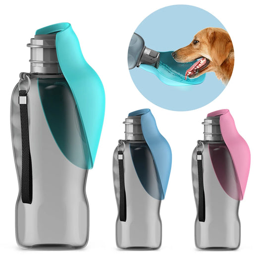 Gourde pour Chiens