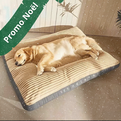 Grand matelas pour chien