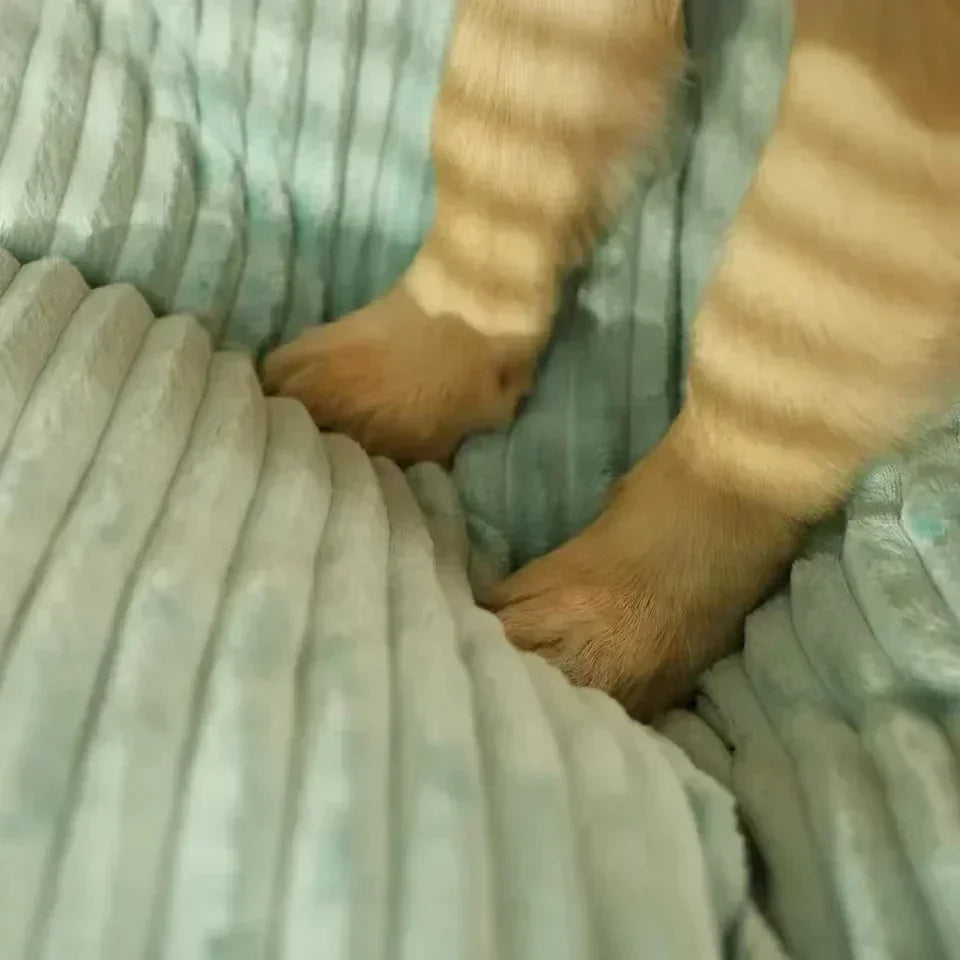 Grand matelas pour chien - Moelleux