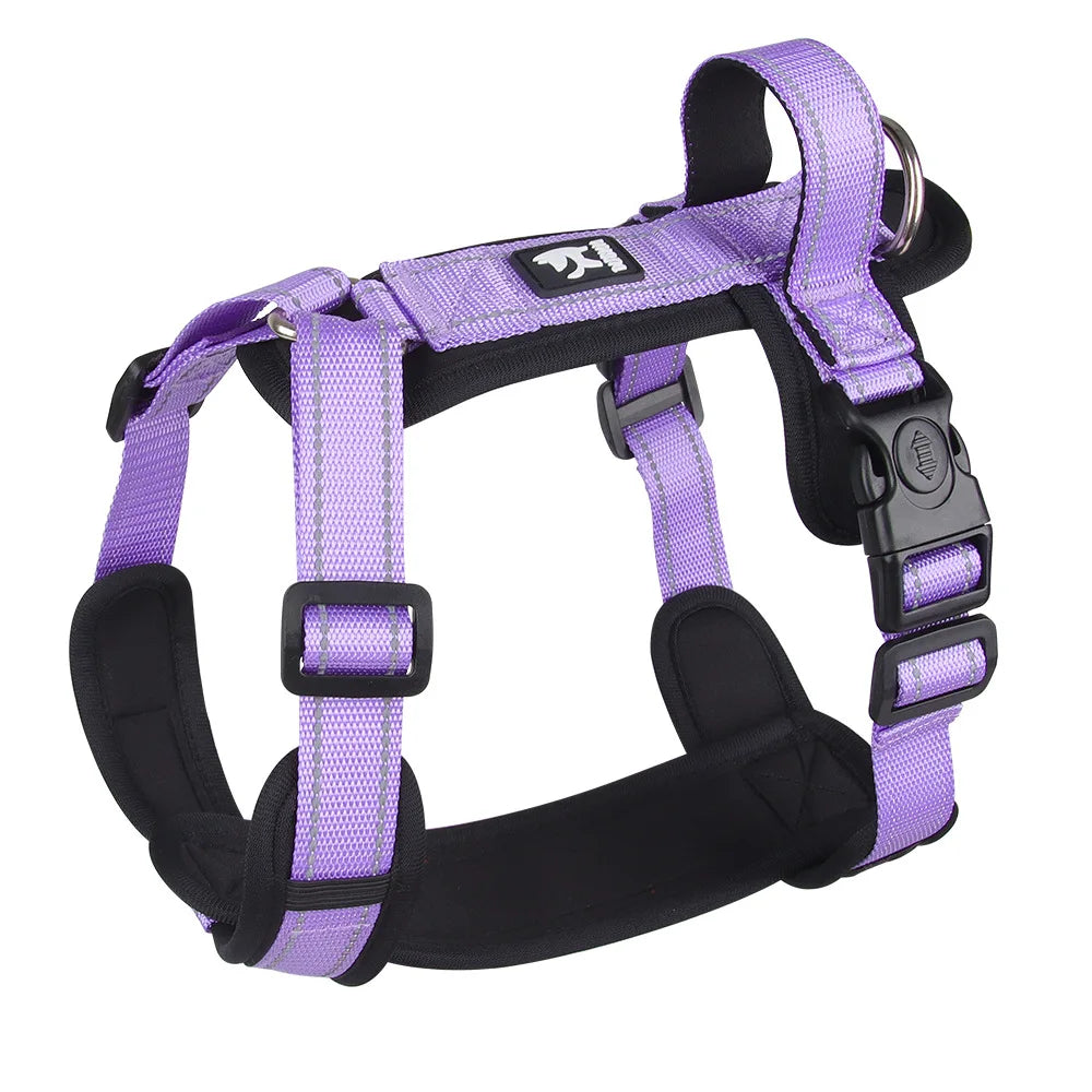 Harnais chien en H - Violet