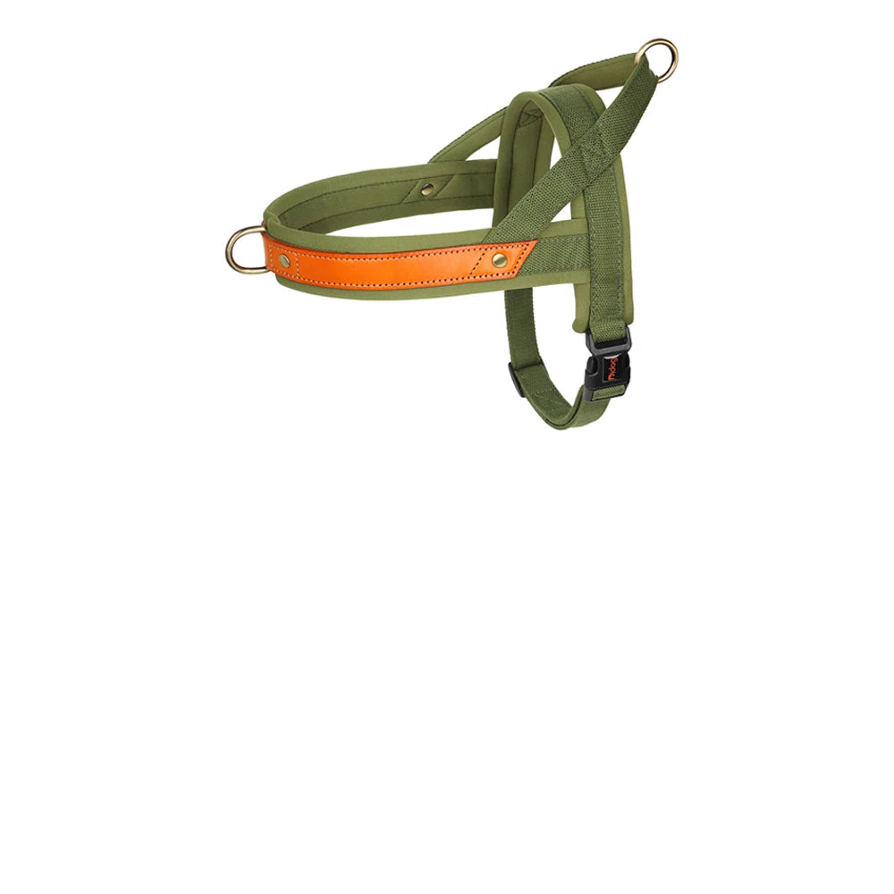 Harnais chien en T - Vert