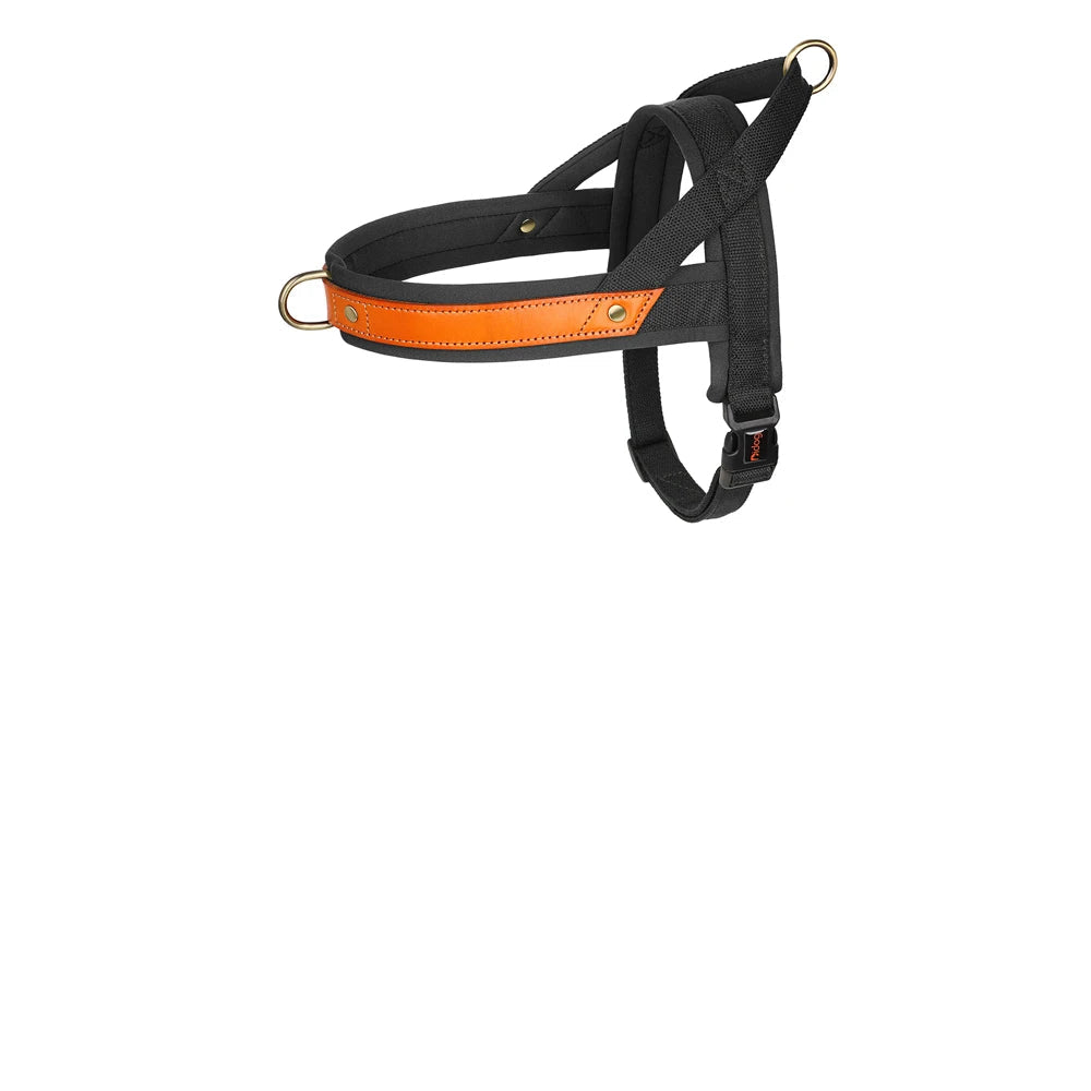 Harnais chien en T - Noir