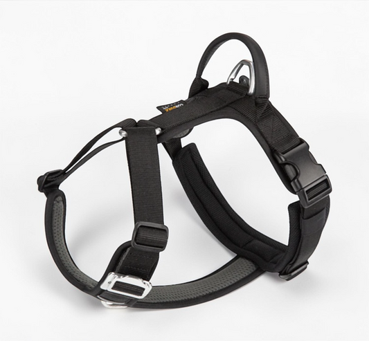 Harnais chien en Y - Nylon Cordura haute résistance