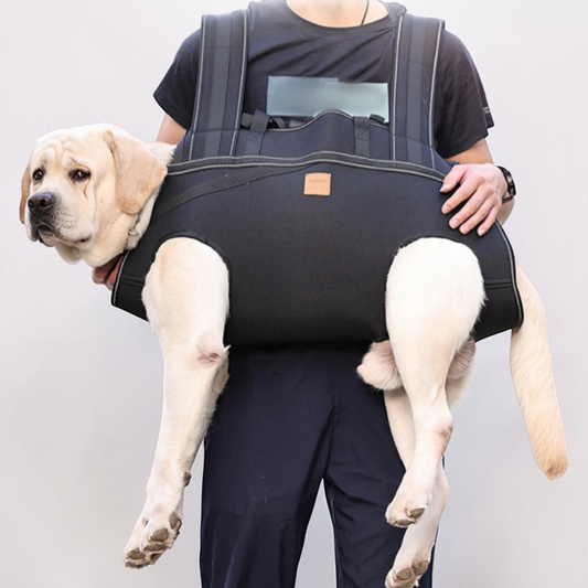 Harnais de transport pour chien