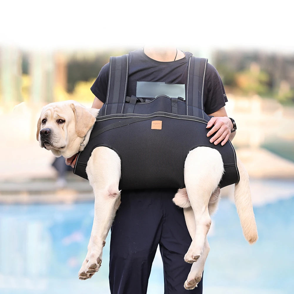 Harnais de transport pour chien