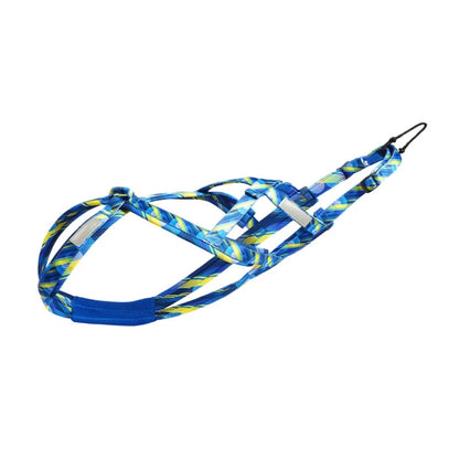 Harnais en X - Bleu