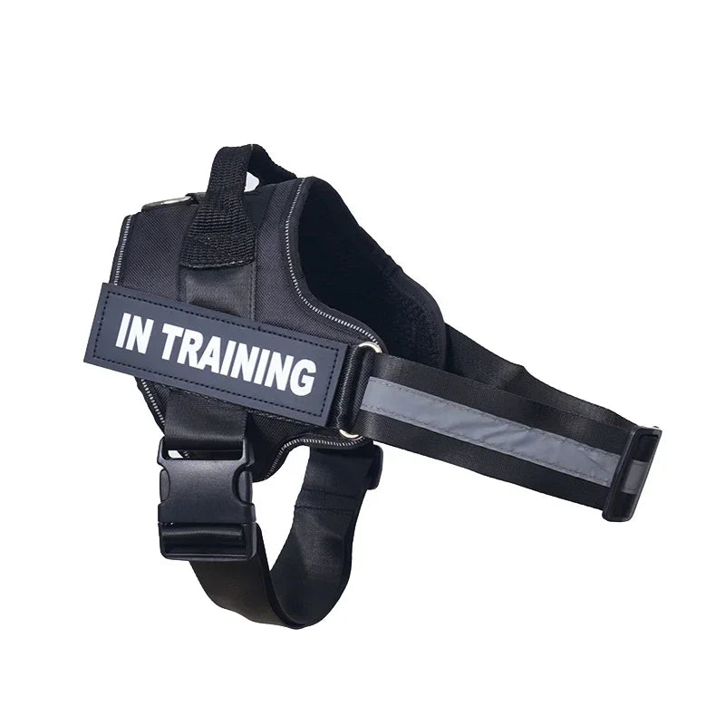 Harnais personnalisable pour chien - Noir