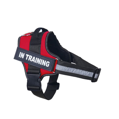 Harnais personnalisable pour chien - Rouge