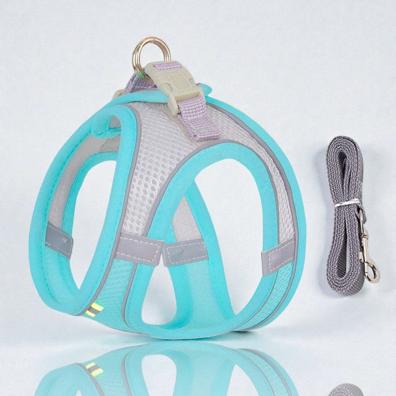 Harnais pour petit chien