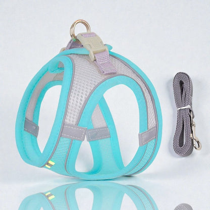 Harnais pour petit chien