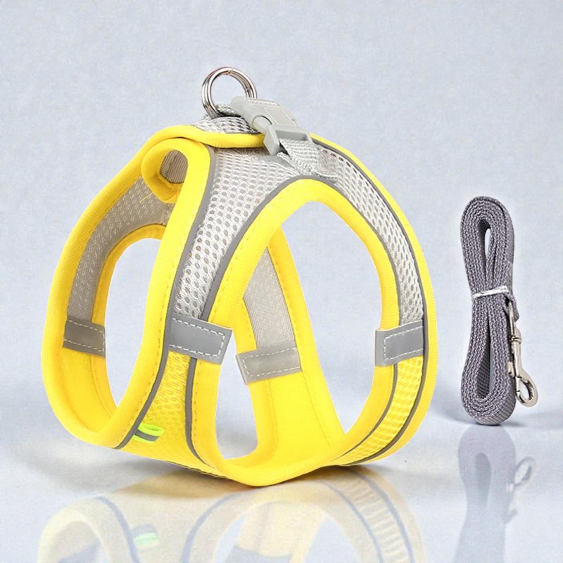 Harnais pour petit chien