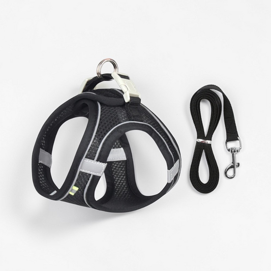 Harnais pour petit chien - Gilet rembourré