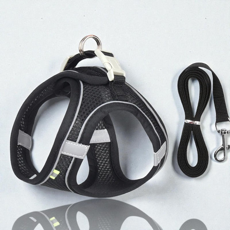 Harnais pour petit chien