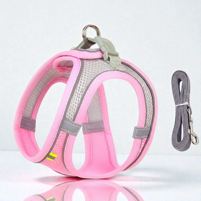 Harnais pour petit chien