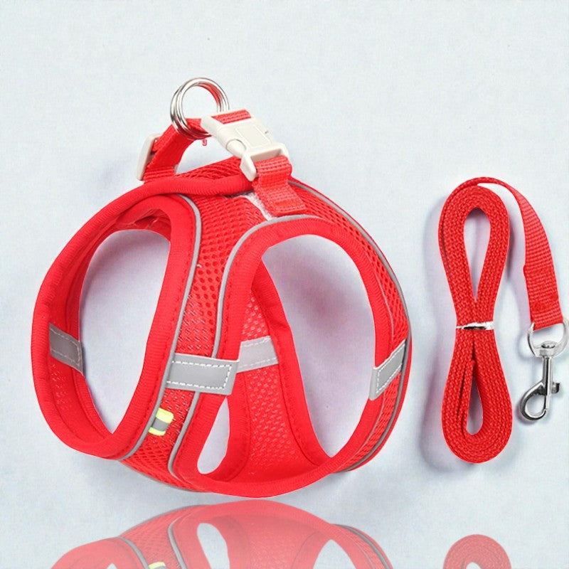 Harnais pour petit chien