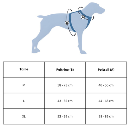 Harnais tactique chien - Compact & Robuste