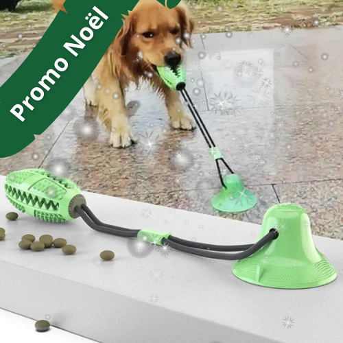 Jouet ventouse pour chien - Pull Dog