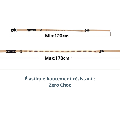 Laisse amortisseur pour chien - Zero Choc