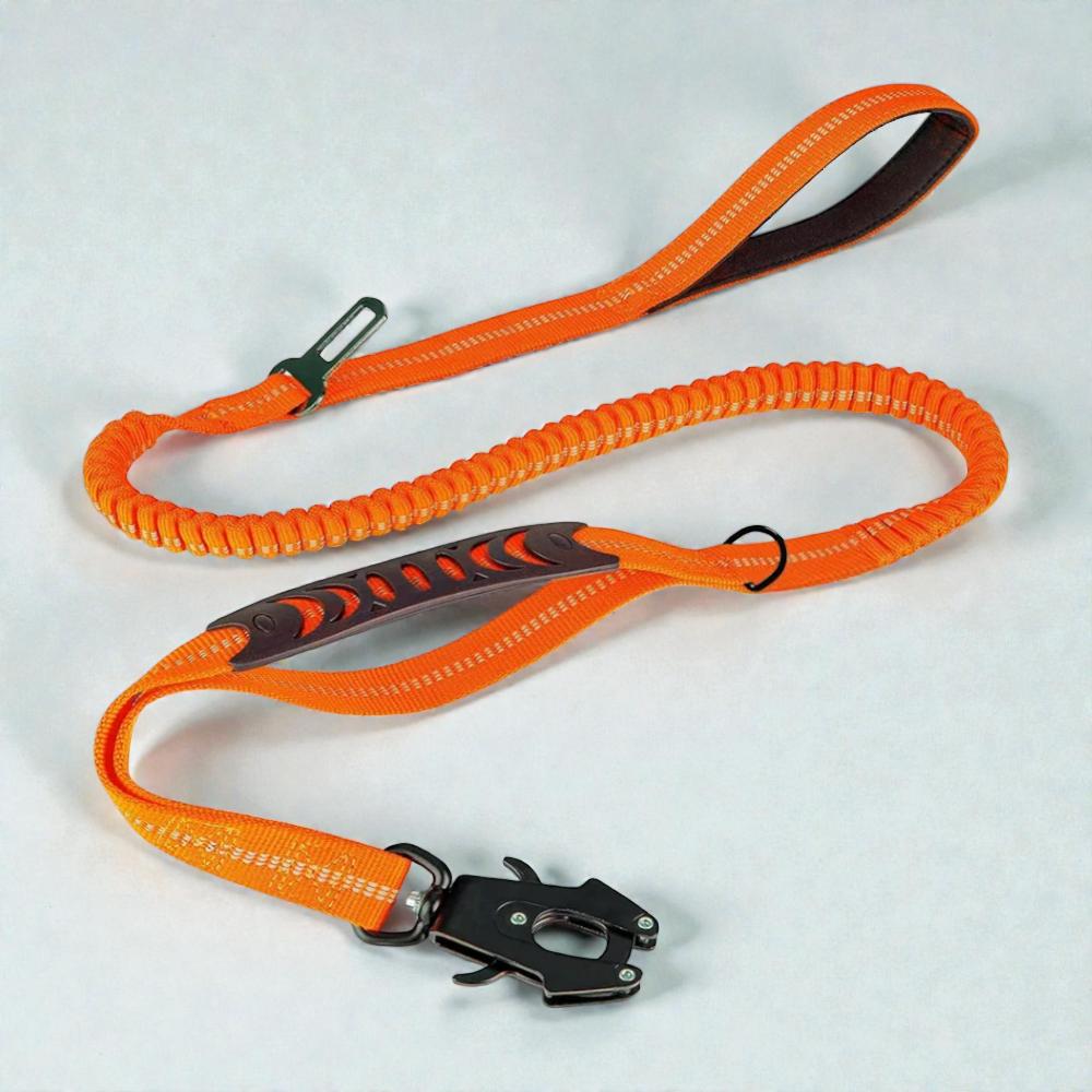 Laisse amortisseur pour chien - Zero Choc