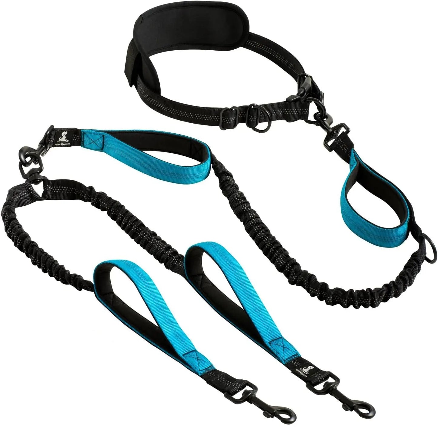 Laisse chien main libre double - Bleu