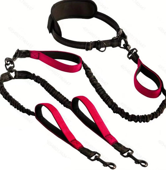 Laisse chien main libre double - Rouge