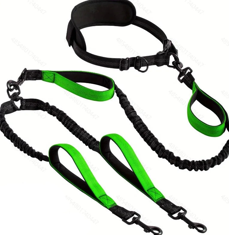 Laisse chien main libre double - Vert