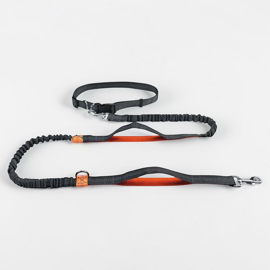 Fida Laisse Robuste pour Chien de 1,2 m avec 2 poignées rembourrées Confortables, poignée de signalisation et Crochet avancé Facile à Clipser, Laisse de Marche réfléchissante pour Chiens de Petite Fida Laisse Robuste pour Chien de 1,2 m avec 2 poignées rembourrées Confortables, poignée de signalisation et Crochet avancé Facile à Clipser, Laisse de Marche réfléchissante pour Chiens de Petite