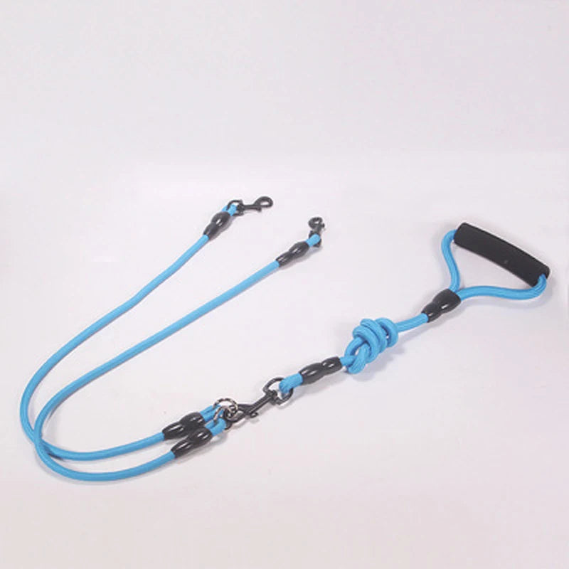 Laisse double pour chien - Bleu